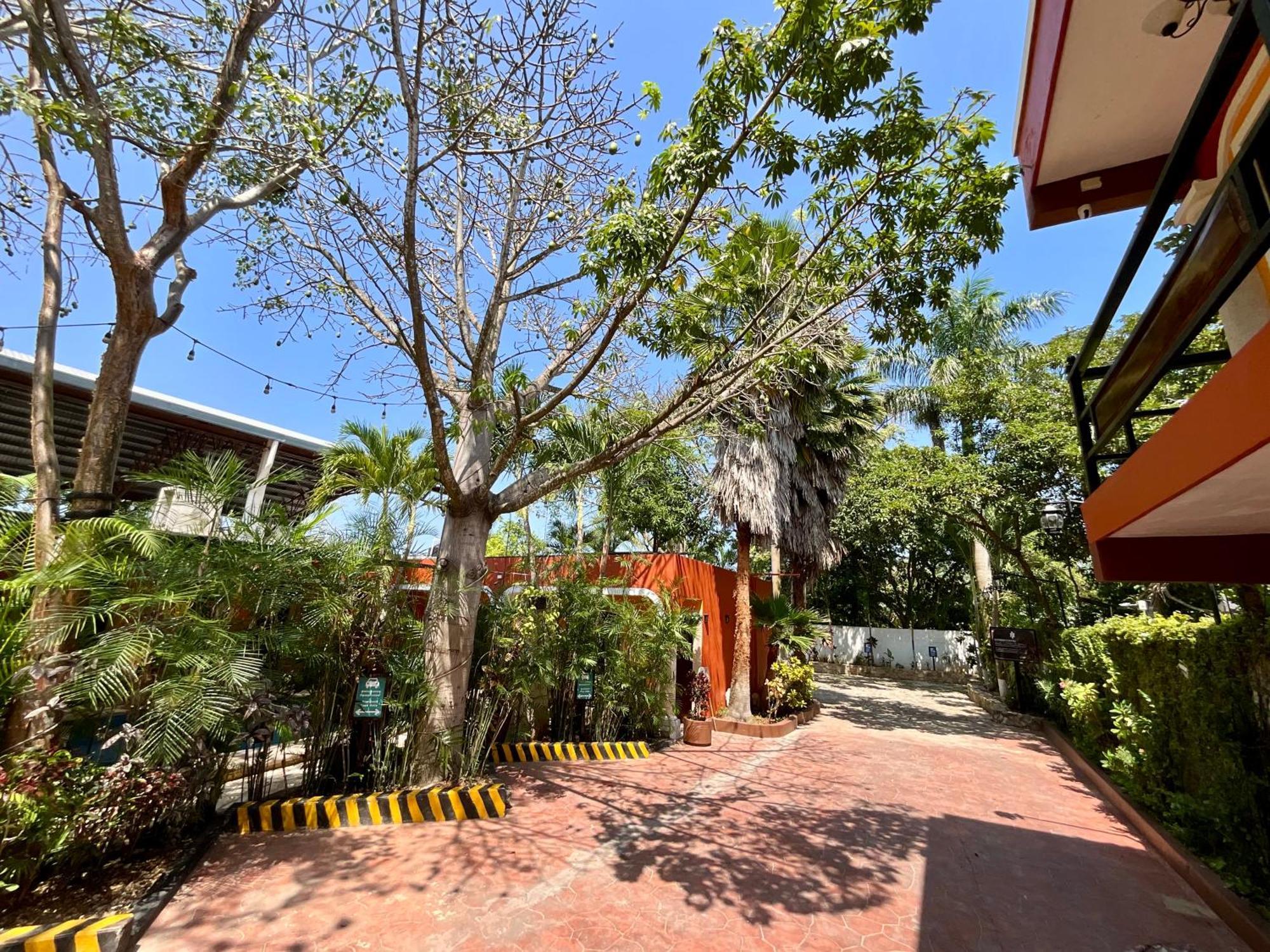 El Zaguan Colonial By Guruhotel Valladolid  Bagian luar foto